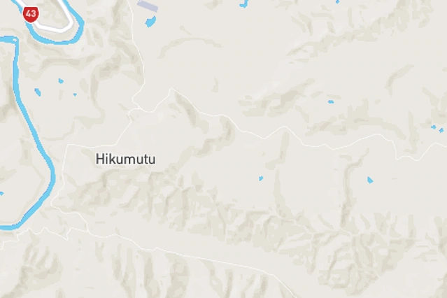Taumarunui