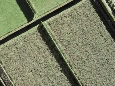 Rural  Countryside Living Zone