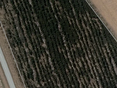 Rural A