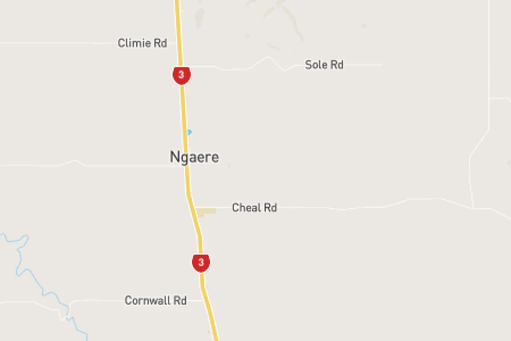 Ngaere