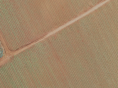 Rural  Rural Production Zone