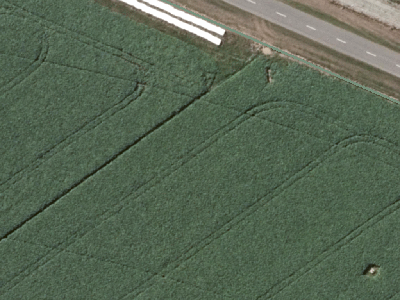 Rural B