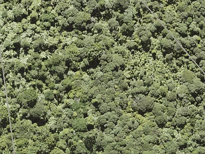Rural  Waitakere Ranges Zone