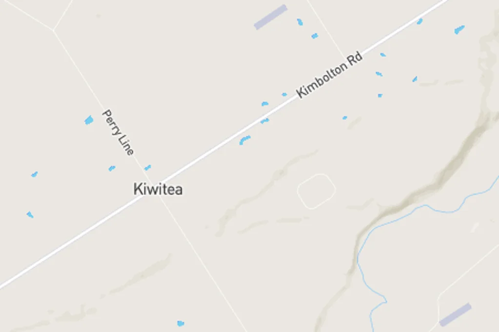 Kiwitea