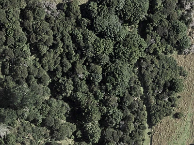 Rural  Rural Production Zone