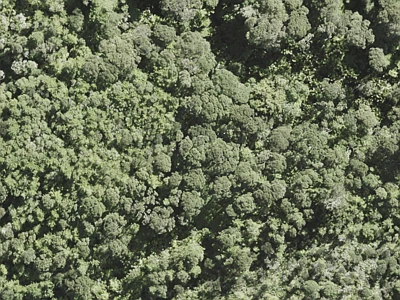 Rural  Rural Conservation Zone