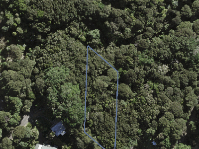 Hauraki Gulf Islands