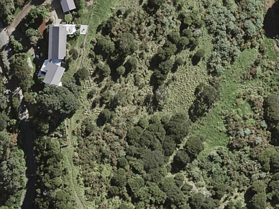 Hauraki Gulf Islands