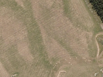 Inner Plains