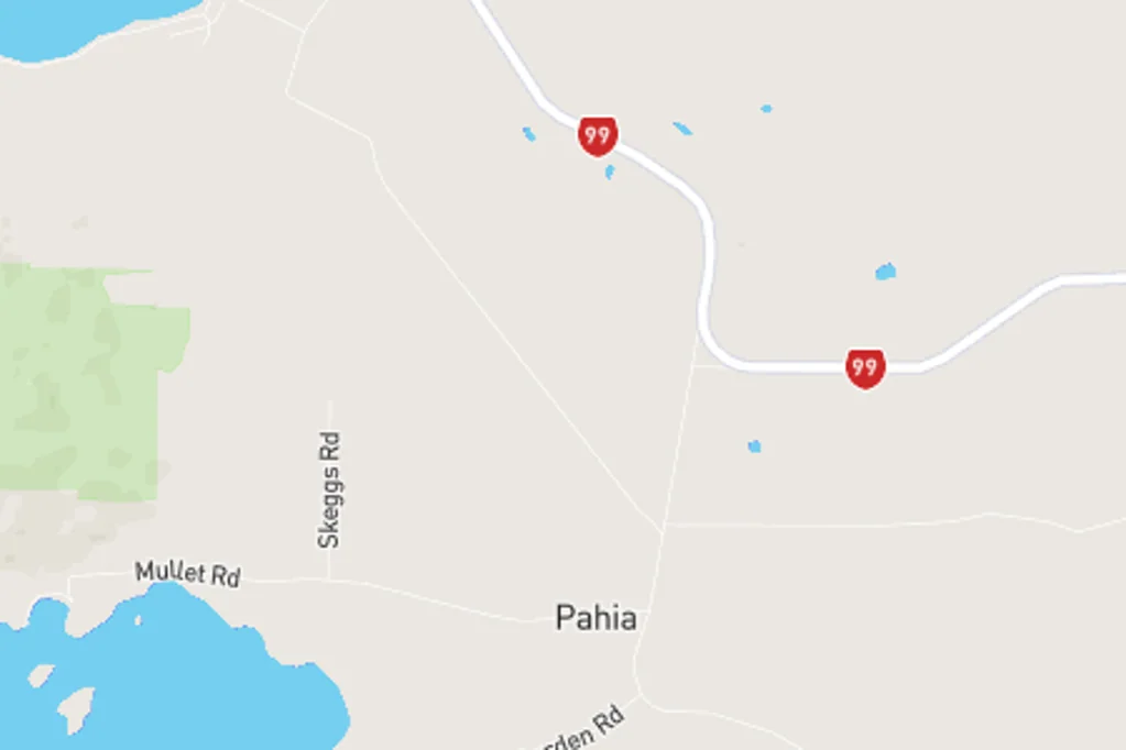 Pahia