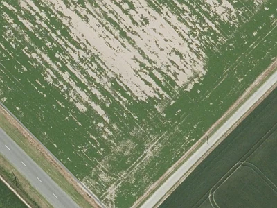 Outer Plains