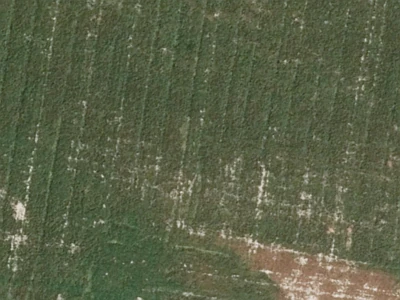 Outer Plains