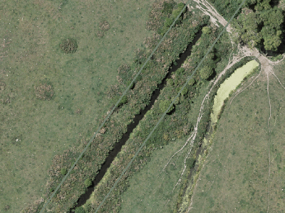 Rural Waimakariri