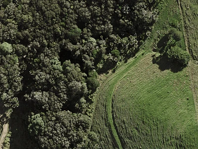 Hauraki Gulf Islands