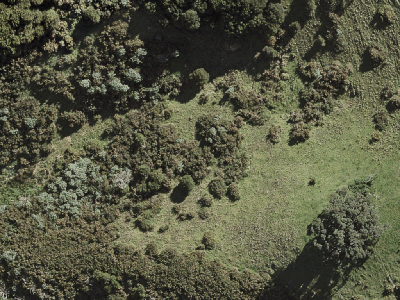 Hauraki Gulf Islands
