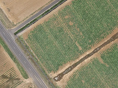 Rural  Rural Production Zone