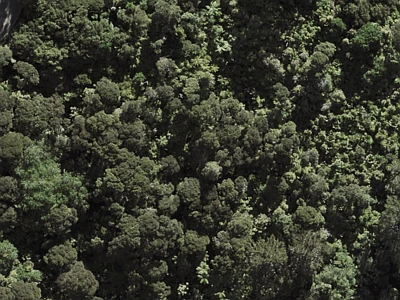 Open Space  Conservation Zone