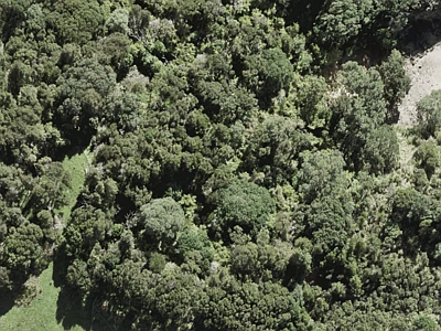 Rural  Rural Production Zone