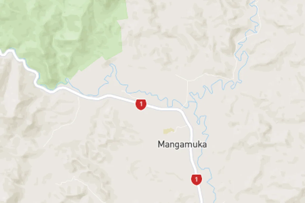 Mangamuka