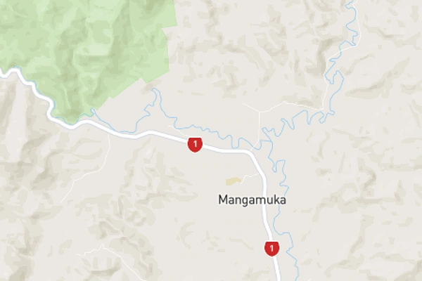 Mangamuka