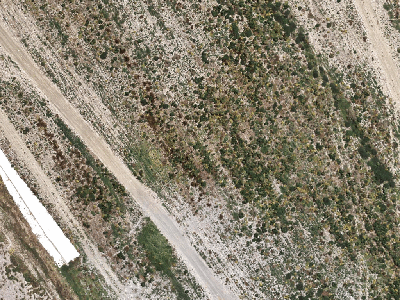Residential  Mixed Housing Suburban Zone