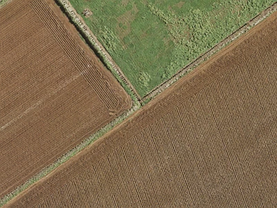 Rural  Rural Production Zone