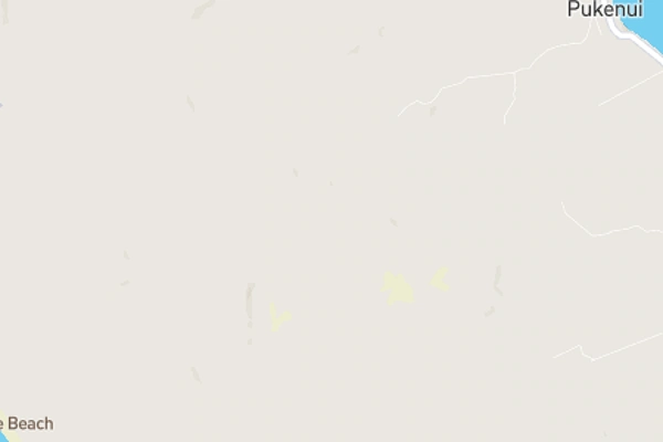 Pukenui