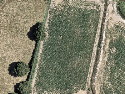 Rural  Rural Production Zone