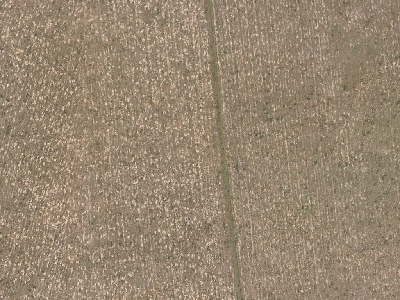 Rural  Rural Production Zone