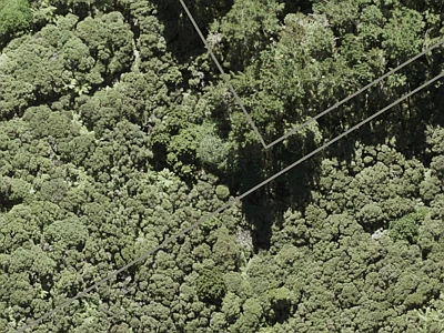 Rural  Waitakere Ranges Zone