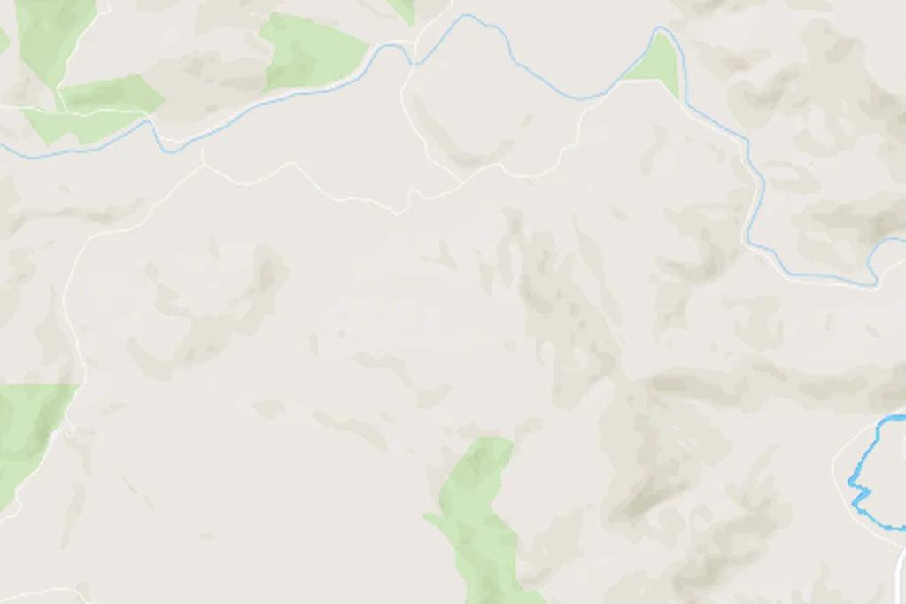 Tawanui