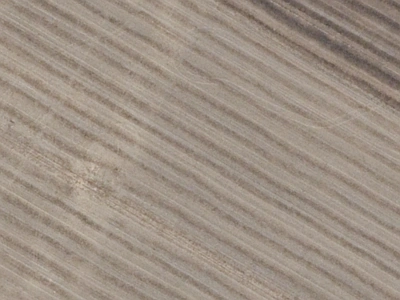 Outer Plains