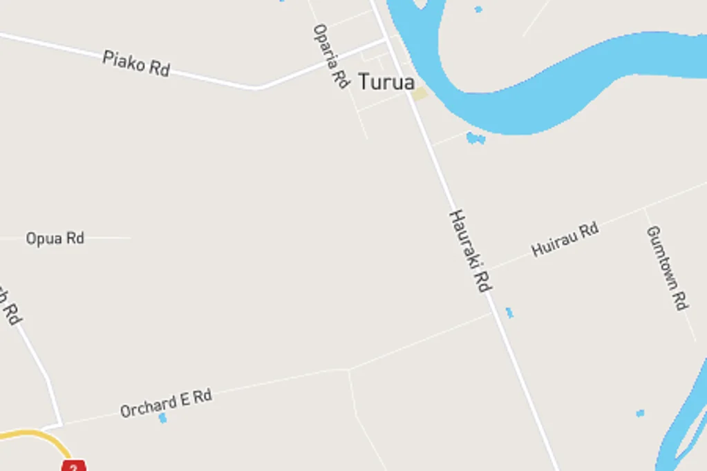 Turua