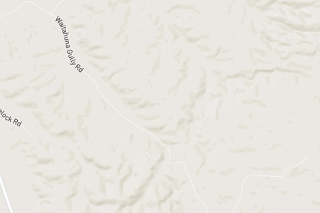 Waitahuna Gully