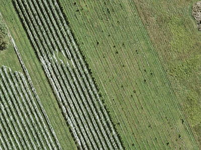 Rural  Countryside Living Zone