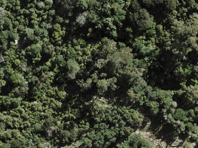 Hauraki Gulf Islands