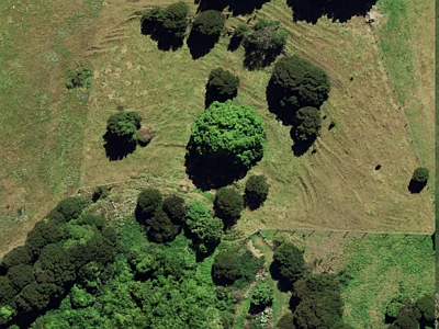 Rural Banks Peninsula