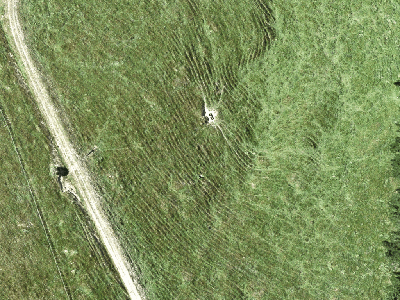 Rural  Rural Production Zone