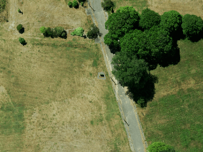 Specific Purpose (Otakaro Avon River Corridor)