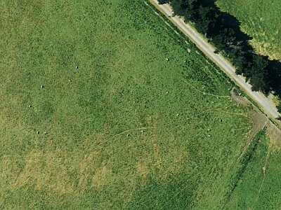 Residential New Neighbourhood