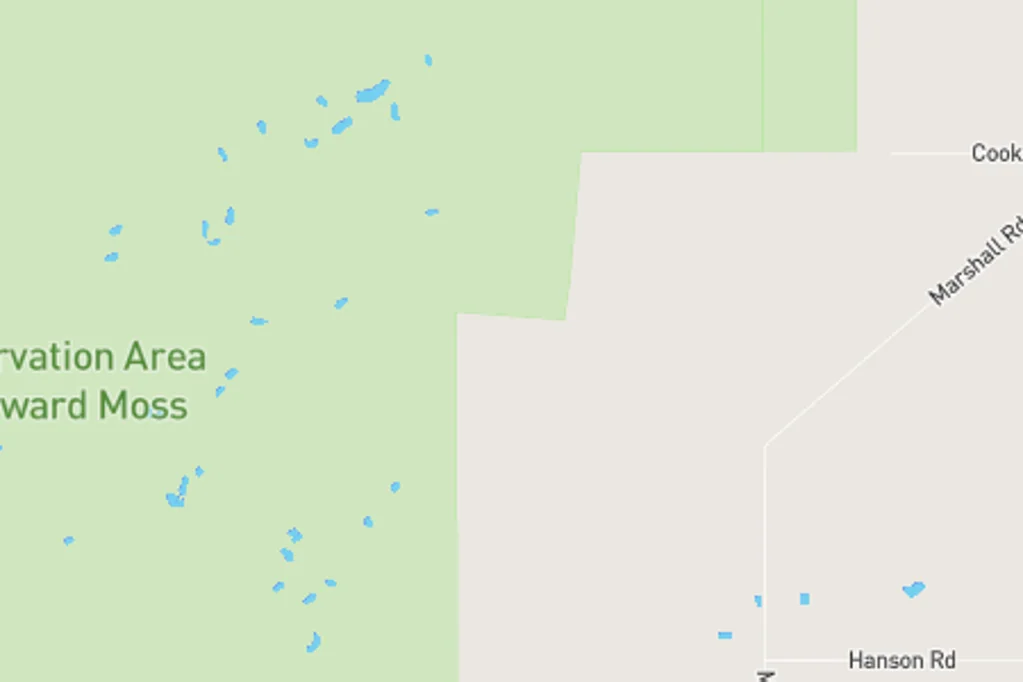 Awarua Wetlands