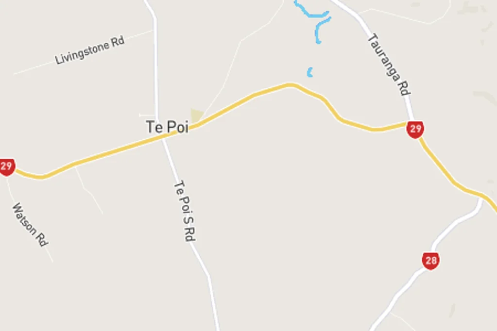 Te Poi