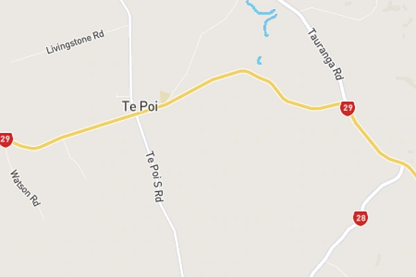Te Poi
