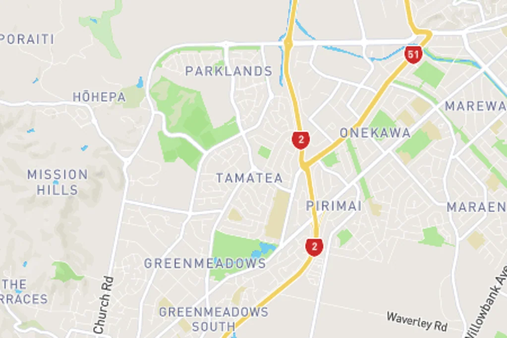 Tamatea