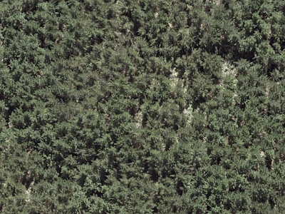 Rural  Rural Production Zone