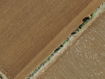 Rural  Rural Production Zone