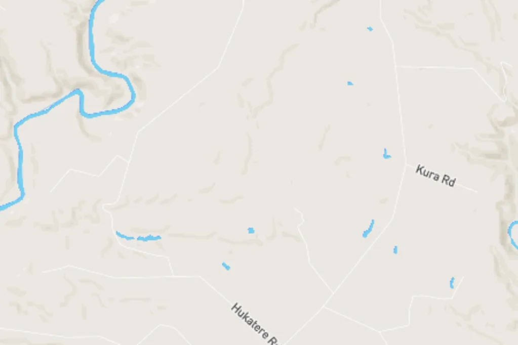 Patea