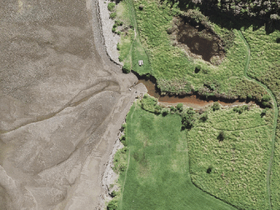 Hauraki Gulf Islands