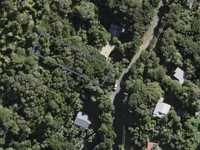 Hauraki Gulf Islands