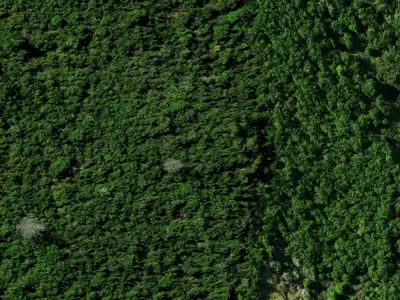 Open Space Natural